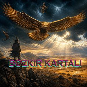 BOZKIR KARTALI