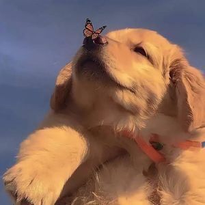 双鱼座（Prod by SCORPION）