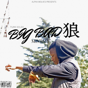 Good Vibe (BIG BAD WOLF)