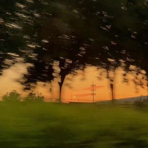 三百六十四天(我的一年只过了一天）