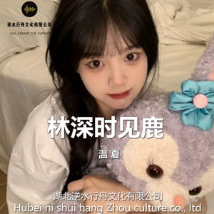 泪蛋蛋都为情哥哥流 (DJ版)