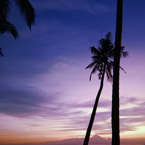 i'll probably see you again