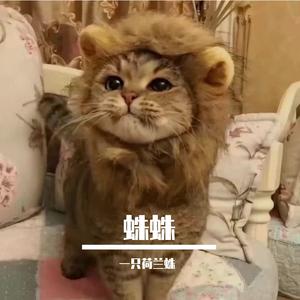猪猪侠（完整版）