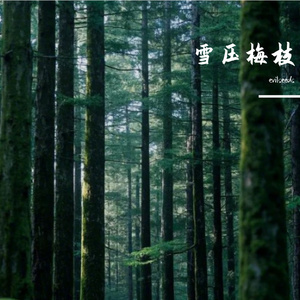 雪压梅枝