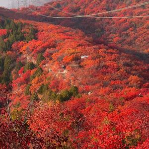 你在心中是暖光