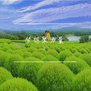 逐山河