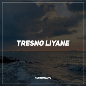 Tresno Liyane (Remix)