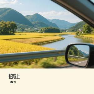 在路上