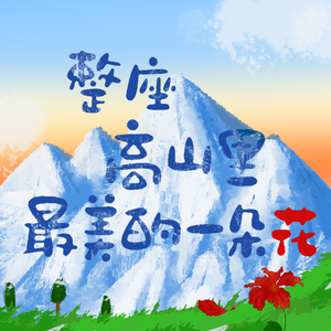 整座高山里最美的一朵花