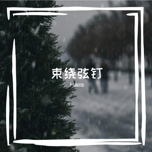 束绕弦钉