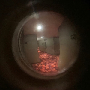 allcomesdowntothis (feat. Kamau Kaan & JacobyMccrayTM)