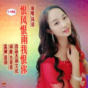 恨风恨雨我恨你(舞曲版)