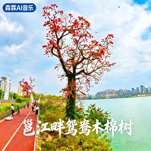 邕江畔鸳鸯木棉树