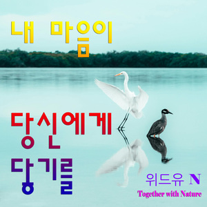 내 마음이 당신에게 닿기를