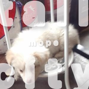 mope