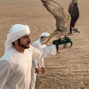 Drop The Bass(3D 环绕版)（Salao remix）