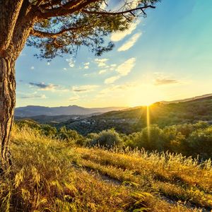 愿望之光 (吉他|催眠)