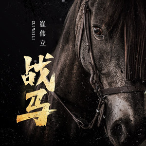 战马 (DJ何友版)