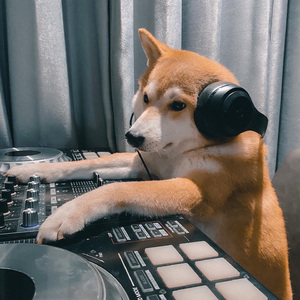 柴狗 146 - Italo & Hands up 221124