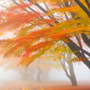 Late September (Full Version)