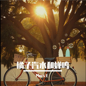 《橘子汽水与蝉鸣》 伴奏