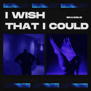 I Wish That I Could (Slowed + Reverb)