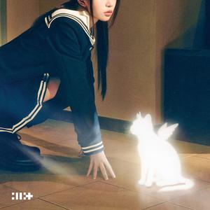 借来的猫（Do the dance）