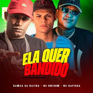 Ela Quer Bandido