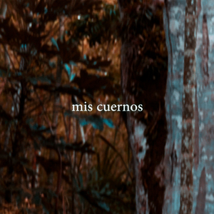 Mis Cuernos