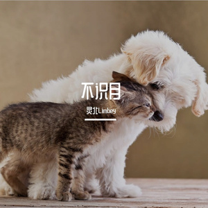 不识月（cover 赤羽）