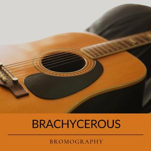 Friendly Implausibility