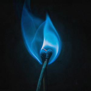 Stupido Me, Stupida Te