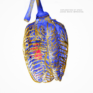 Noctem In Nova Hispania