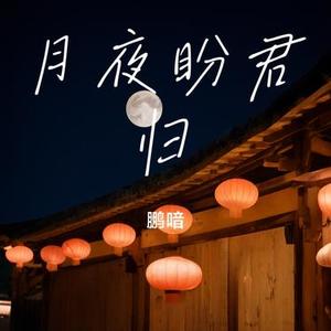 月夜盼君归