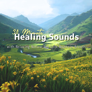 癒しのギターとα波効果 深い眠りに落ちる睡眠用ヒーリングbgm「セロトニン」で睡眠の質向上 (自律神経を整える睡眠用 森 鳥)