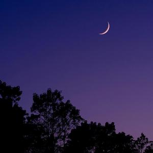 可惜不是你（钢琴版）