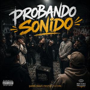 PROBANDO SONIDO