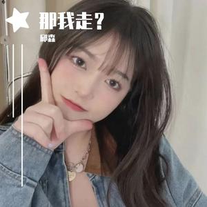 半生雪（抖音版）