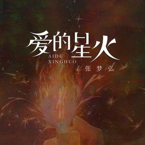 爱的星火 (dj版)