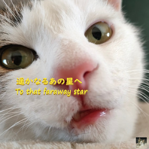 遥かなるあの星へ