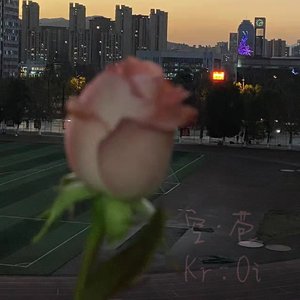 空•苞