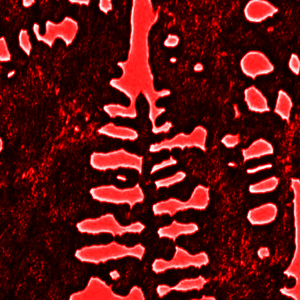 Display End Sequence