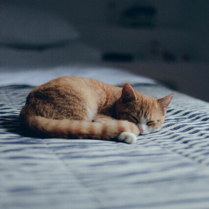 一个人生活-梦醒醒