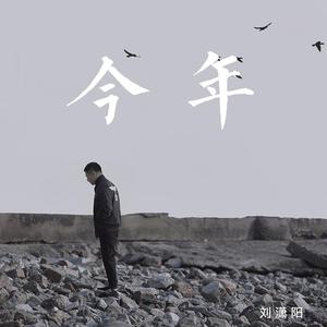 今年（翻自 沙宝亮）