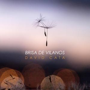 Brisa de vilanos