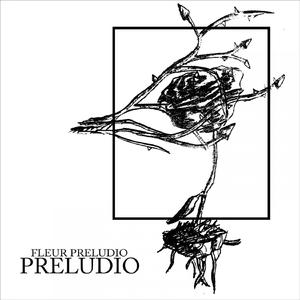 Lies (Who's my enemy)