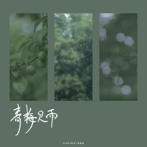 青梅见雨