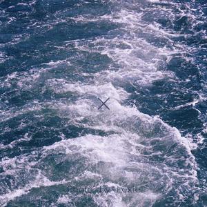 我想要我想要的生活