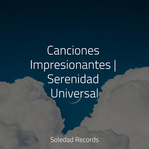 Silencio De Un Sueño