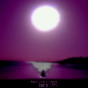 Bird's Eye (feat. Denizor)